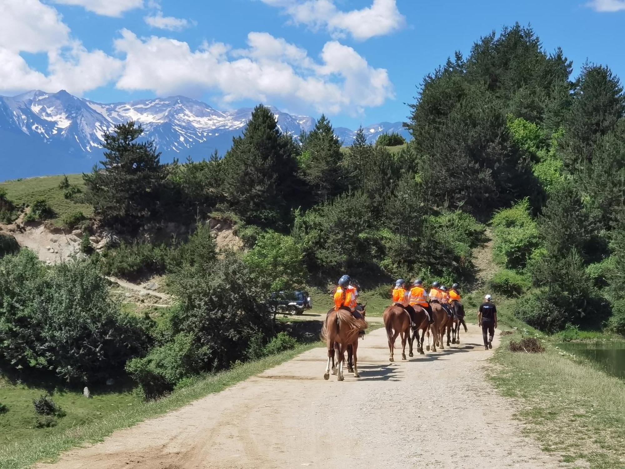 Lucky Bansko Aparthotel Spa & Relax Luaran gambar Horse riding in the park